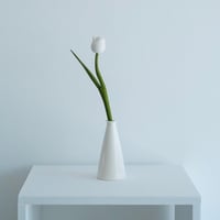 松岡瑞起  cone vase [ nomal ]