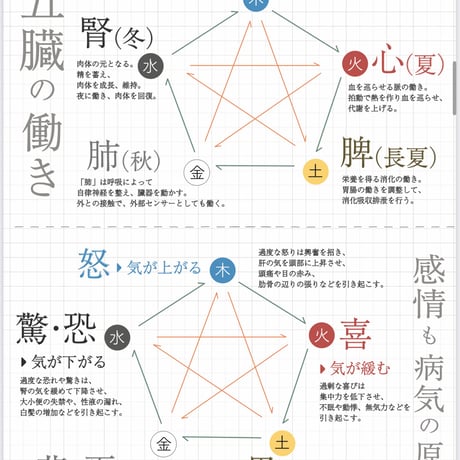 −2〜3キロ5日間薬膳スーププログラム