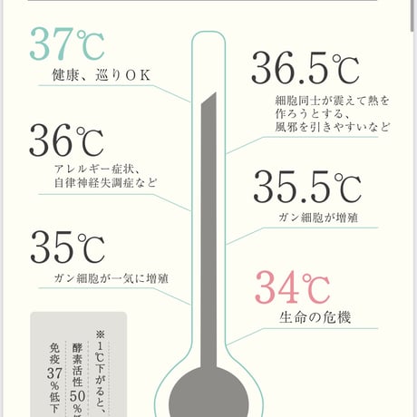 −2〜3キロ5日間薬膳スーププログラム