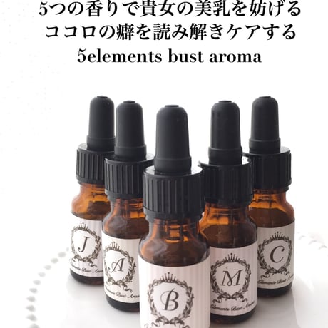 バストケアアロマ5本zoomカウンセリング込み