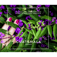 GUATEMALA(N) 100g