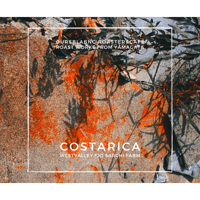 COSTARICA 100g