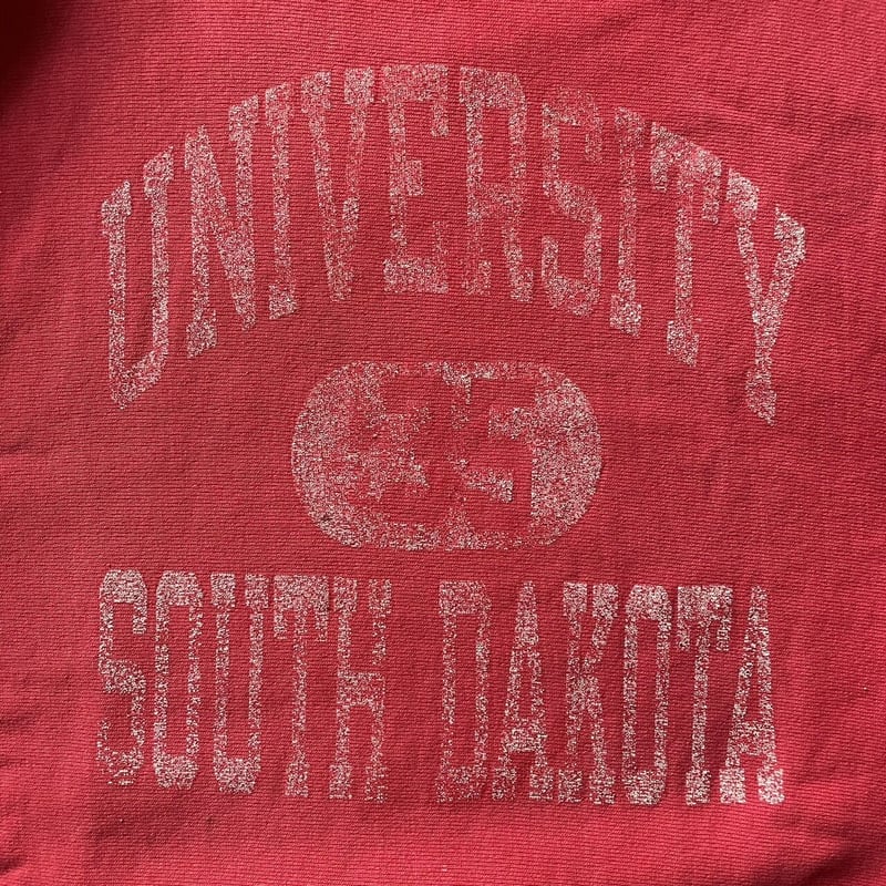 80s champion reverse weave college print sweat