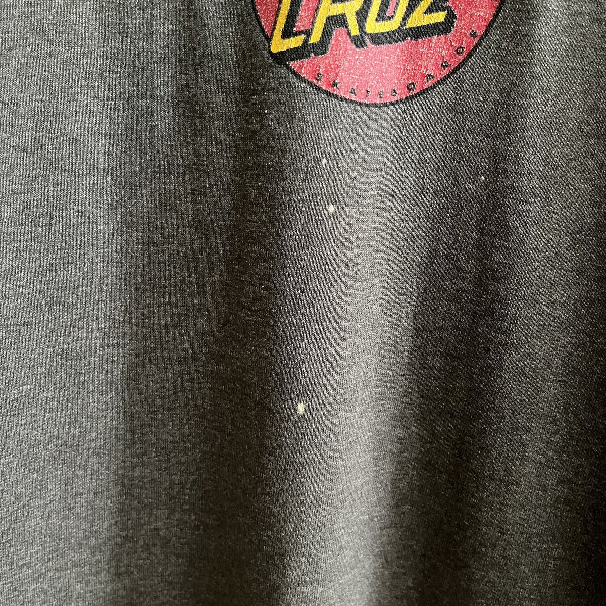 Santa cruz rob roskopp print tee | sui & shara