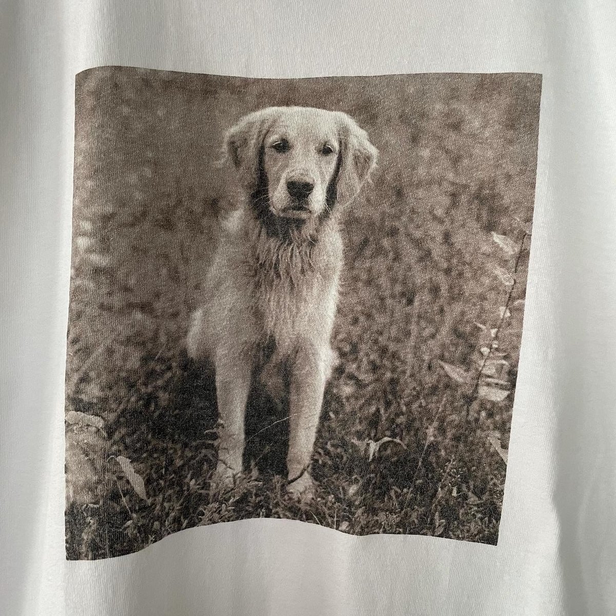 90s~ GAP dog print tee | sui & shara 90s~ GAP dog print tee | sui & shara