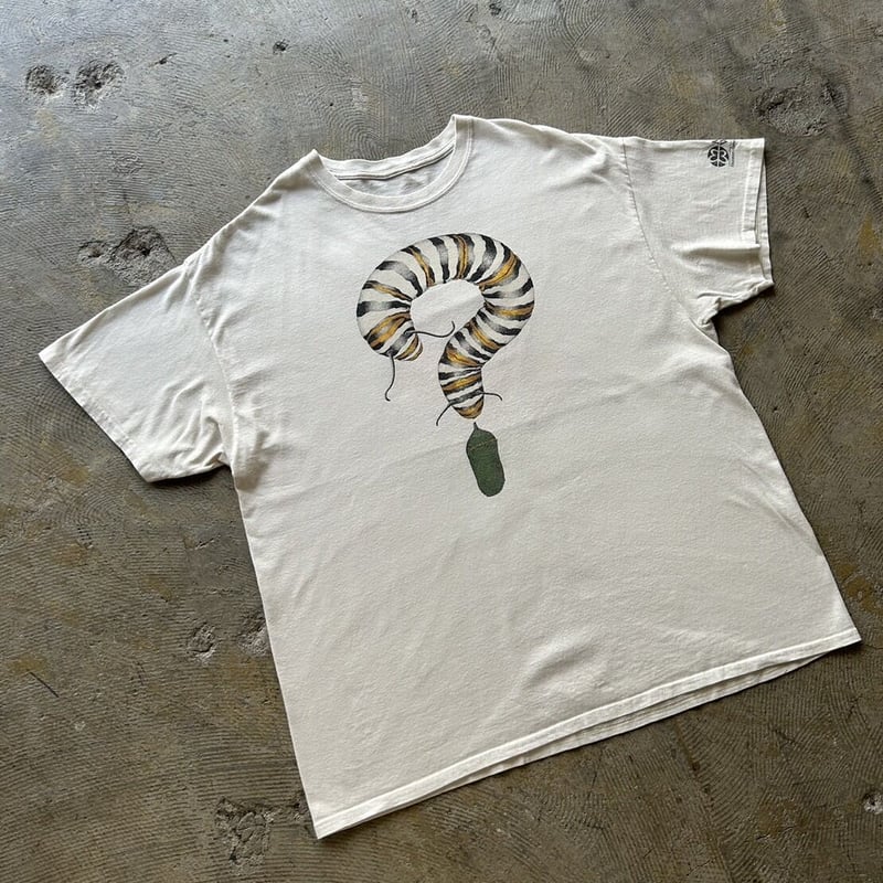90s 名作 Diana dee tyler tシャツ art 蝶 ヴィンテージ Vintage Shirt 1992 Diana Dee Tyler Butterfly Caterpillar Art