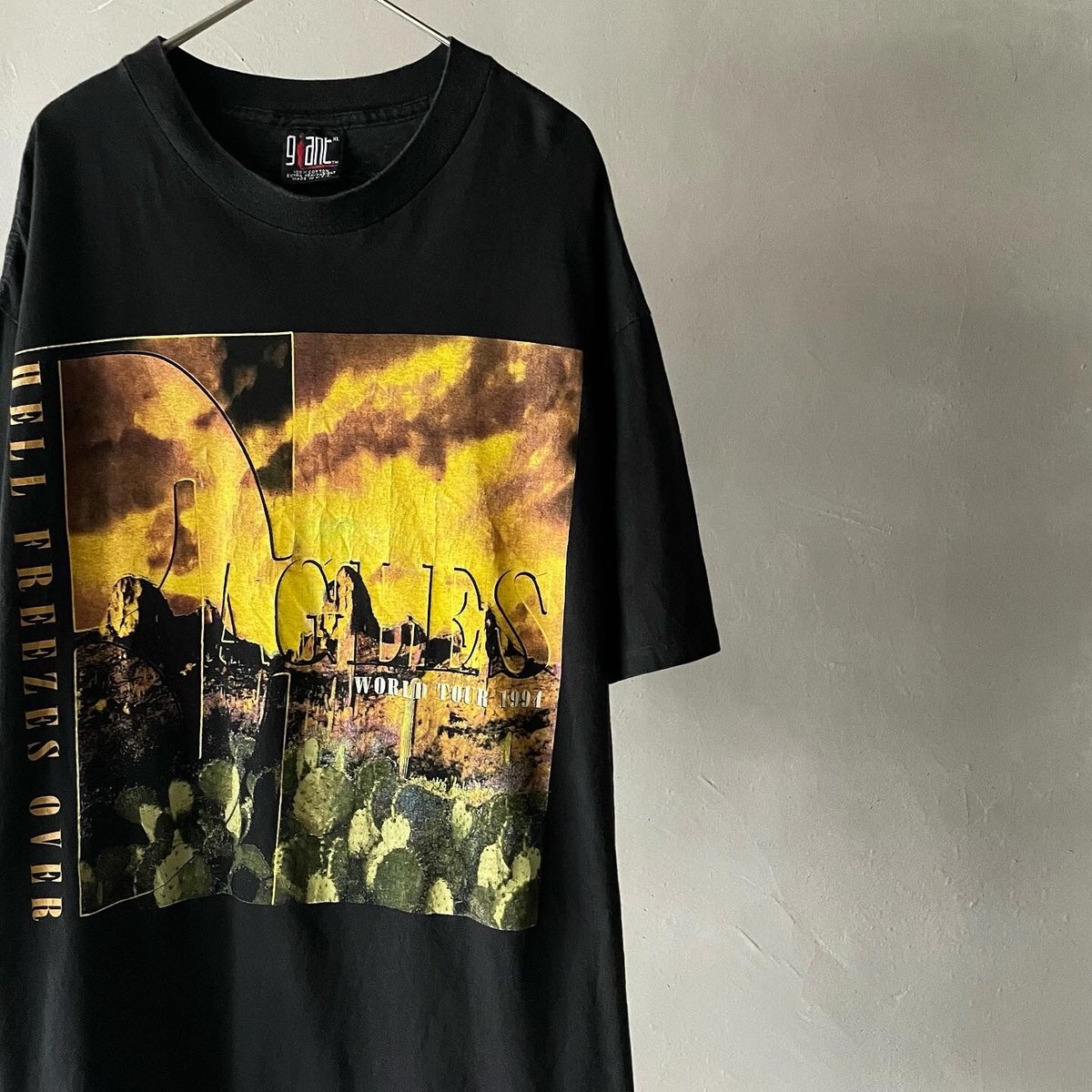 EAGLES Tシャツ ワールドツアー1994 ヴィンテージ　パンフレット EAGLES Tシャツ ワールドツアー1994 ヴィンテージ パンフレット