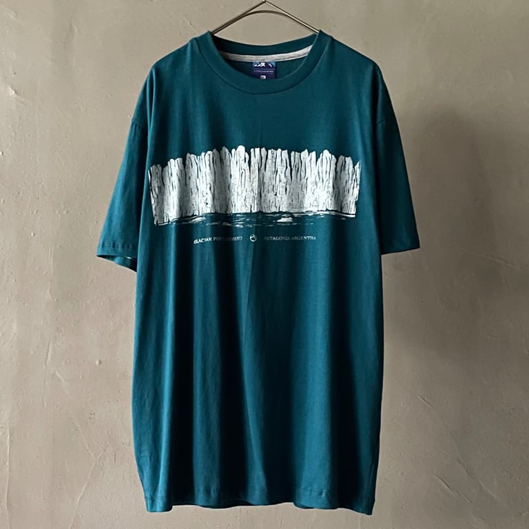 Patagonia souvenir tee｜パタゴニア