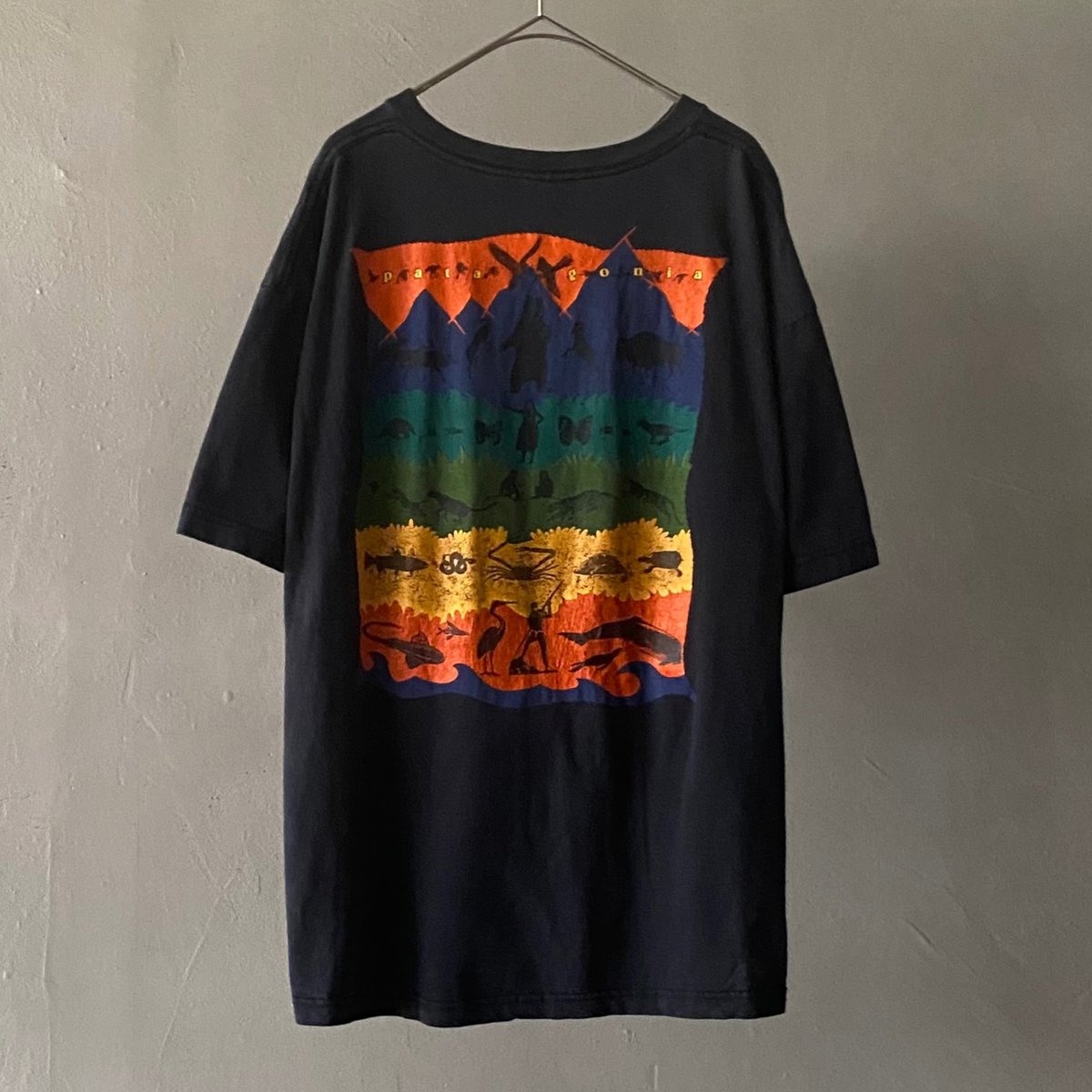 patagonia マゼンタ Tシャツ L 生態系　絶滅危惧種　キッズサイズ patagonia マゼンタ Tシャツ L 生態系 絶滅危惧種 キッズサイズ