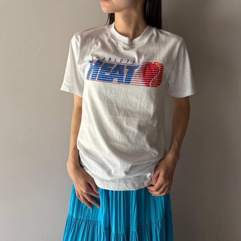 90年代 ヘインズ プリントTシャツ（~90s Hanes print tee｜ヘインズ）