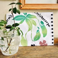 手ぬぐい｜植物園のスケッチブック  食虫植物