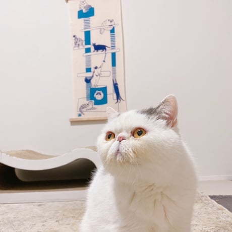手ぬぐい｜cat tower