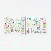 手ぬぐい｜植物園のスケッチブック  食虫植物