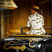 Veroa Cushion Cover | old mountain