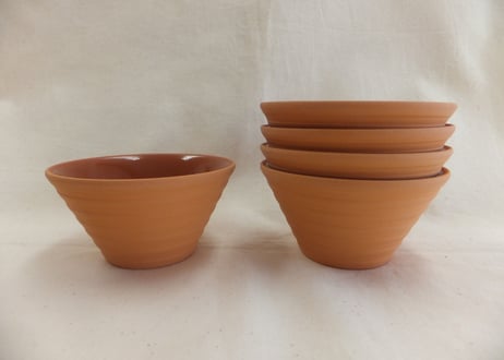 ボーダーカップ（Ｌ）　／　BORDER CUP (L)