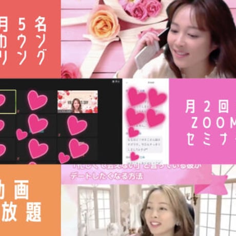 Y's STORE
