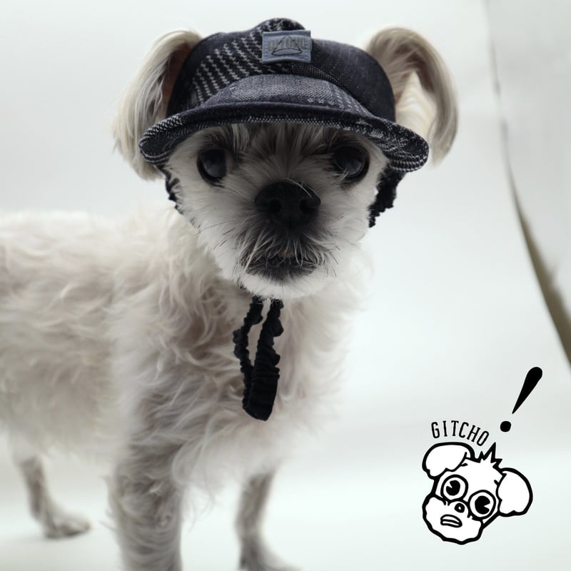 ドッグキャップ-ドッグキャップ-インディゴ パッチワークカード（耳