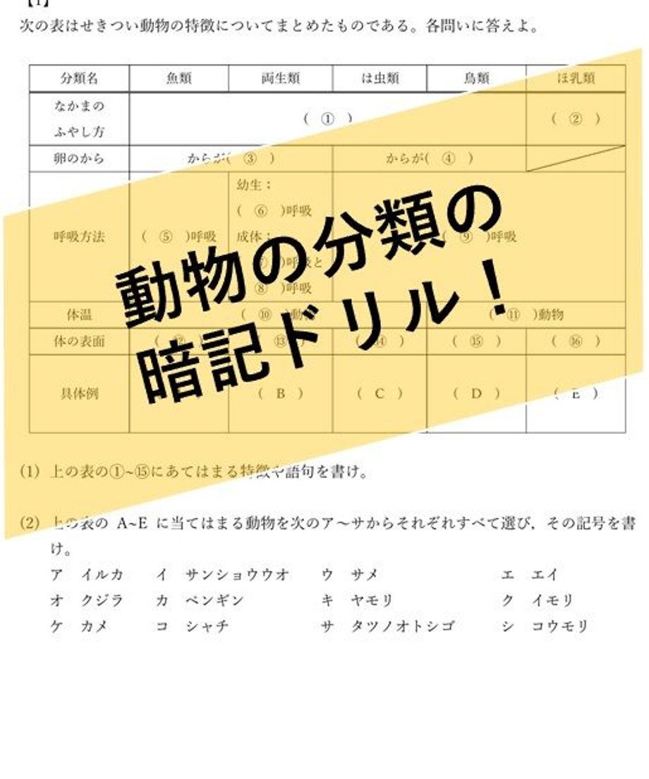 5ecfa05734ef0137bd5922cb
