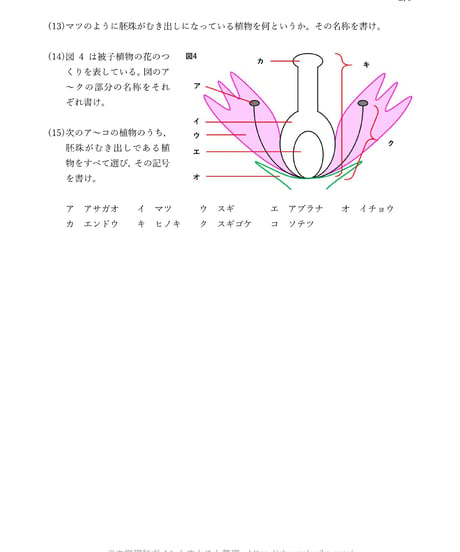 【PDF】花のつくり(被子・裸子)の暗記ドリル
