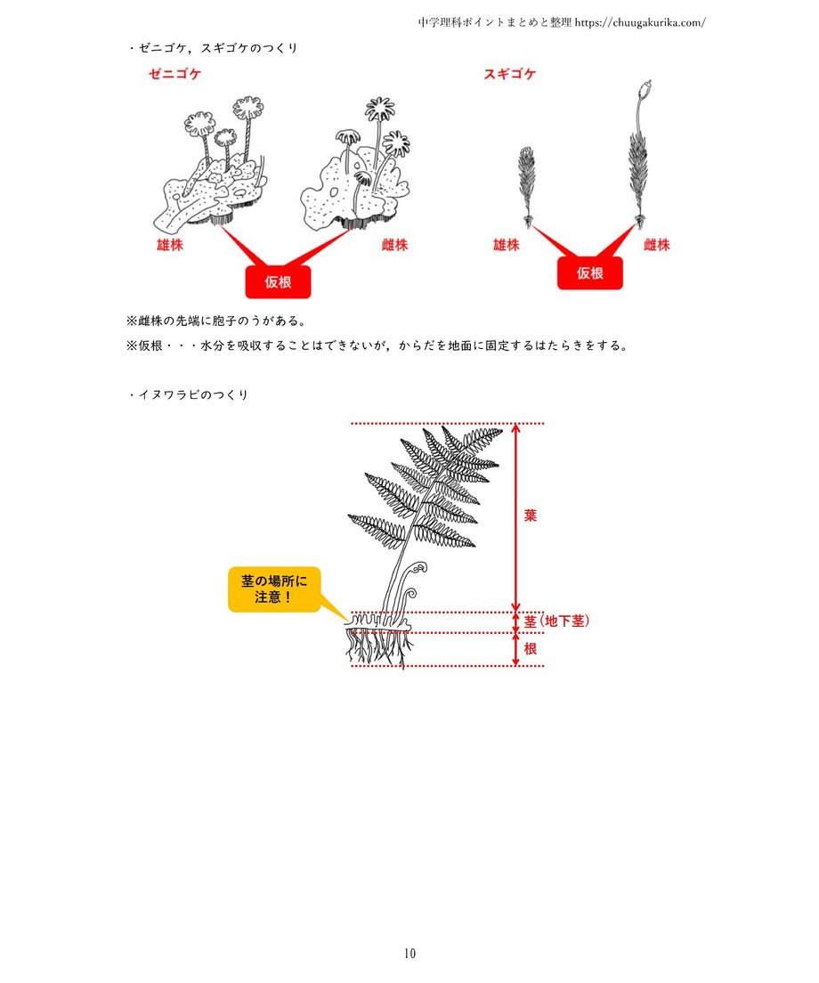 6384ad70d7e1d875822739b8