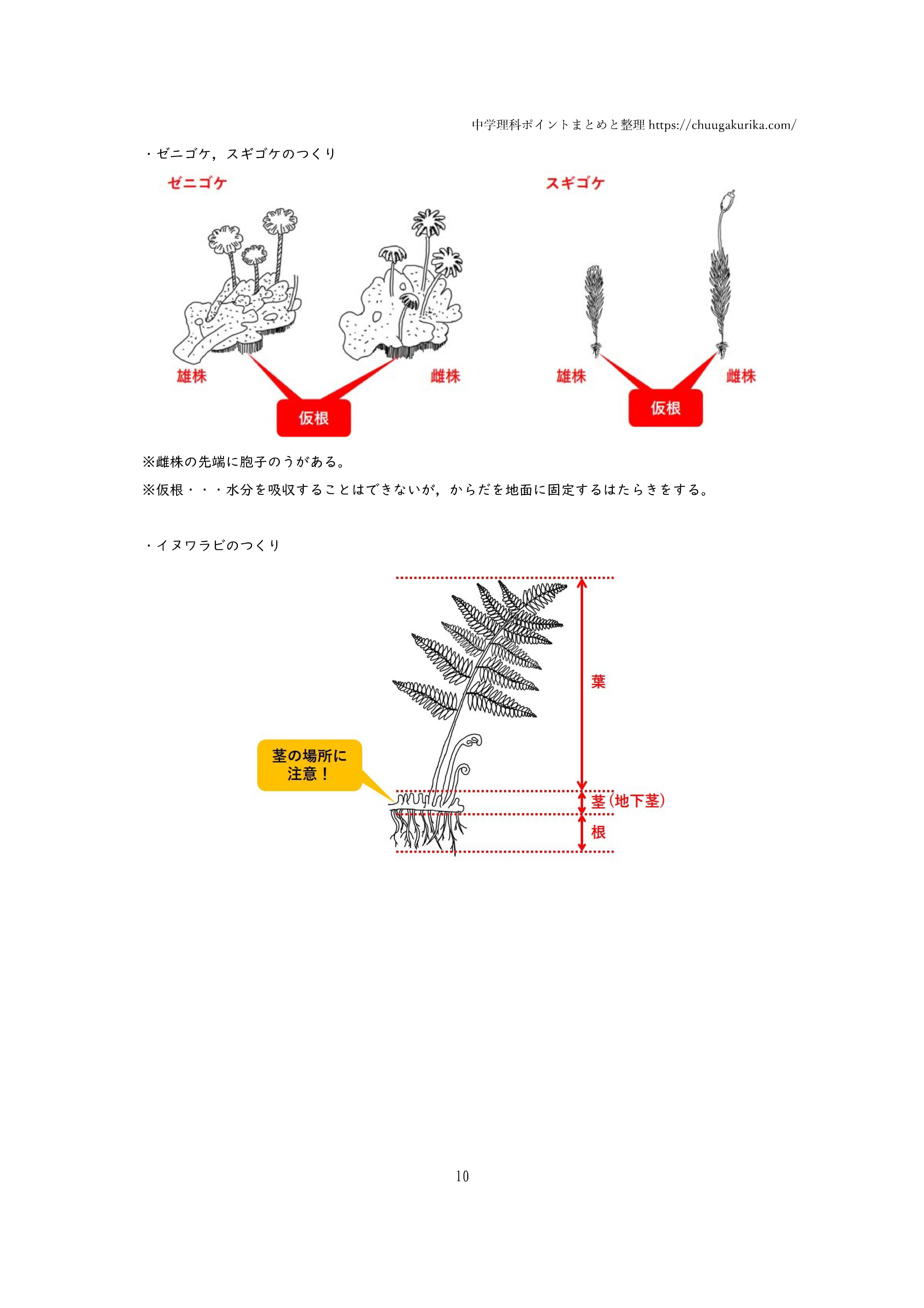 PDF】中学理科ハンドブック 中1内容編【分冊版】 | 中学理科ポイント