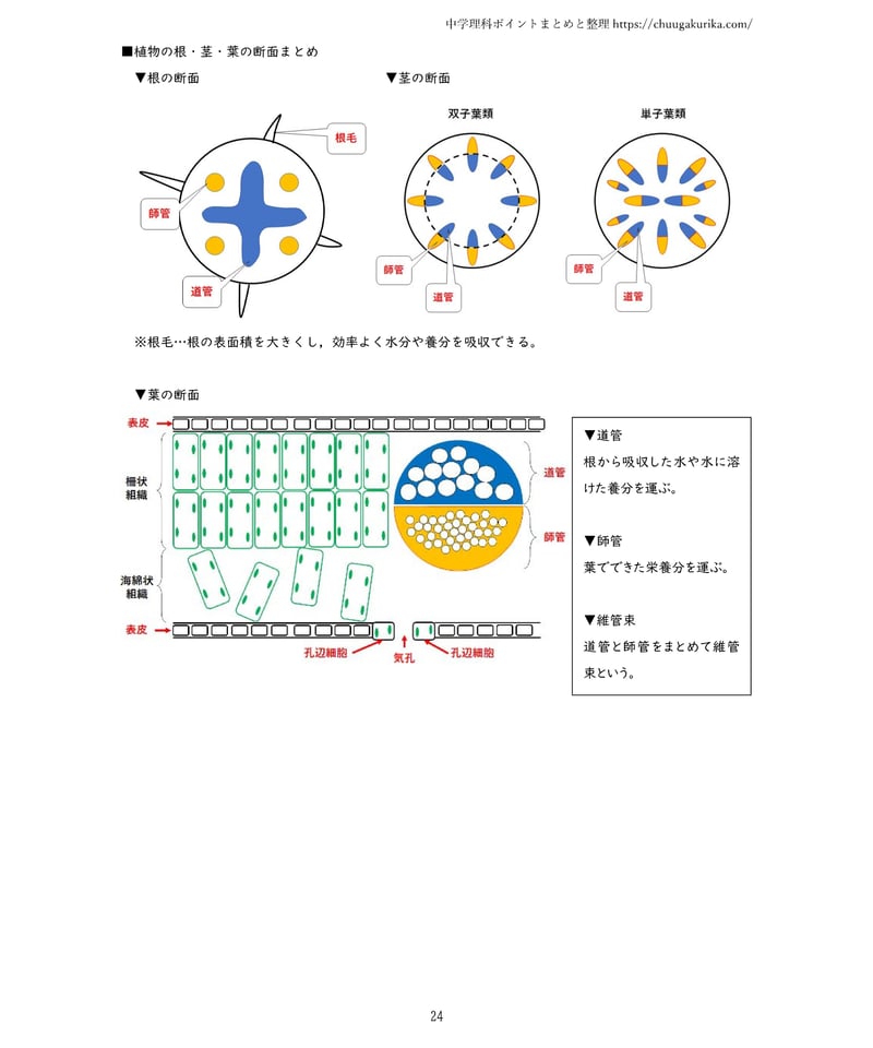 PDF】中学理科ハンドブック 中2内容編【分冊版】 | 中学理科ポイント