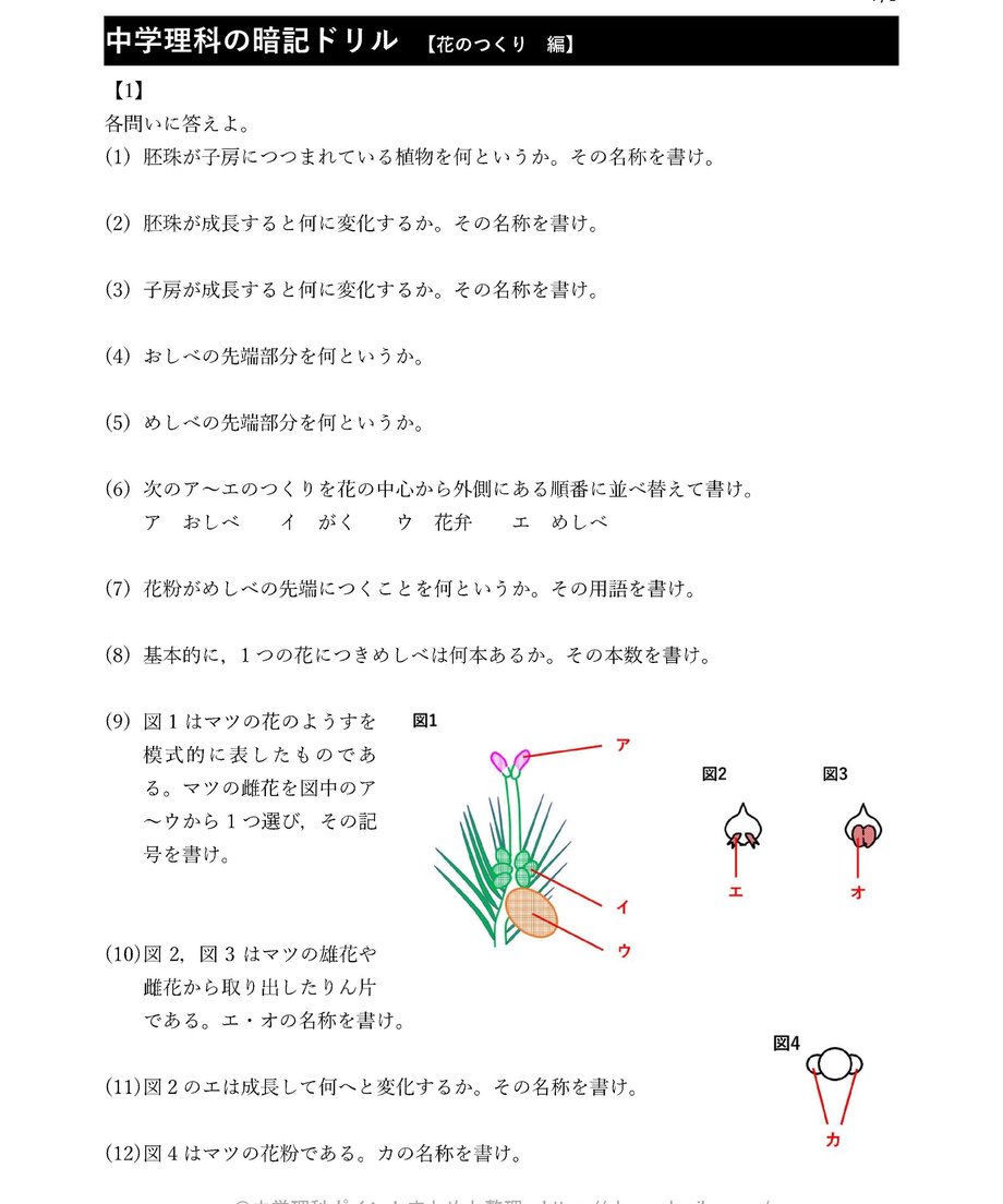 5ec3ff16bd2178326119f100