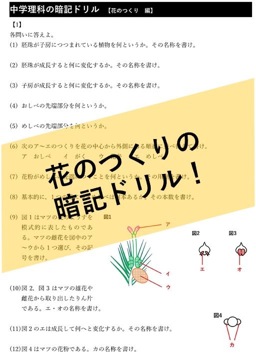 ハイクオリティな商品 中学受験理科DVD 植物 ばね てこ 浮力 別添資料 