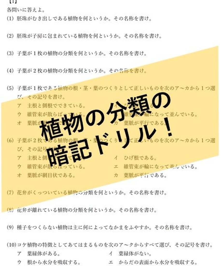 5ee88fe4561e171a286bdf43