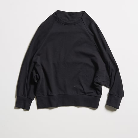 DV-017／“B A S I C S” Cotton Fleece Pullover／2COLORS