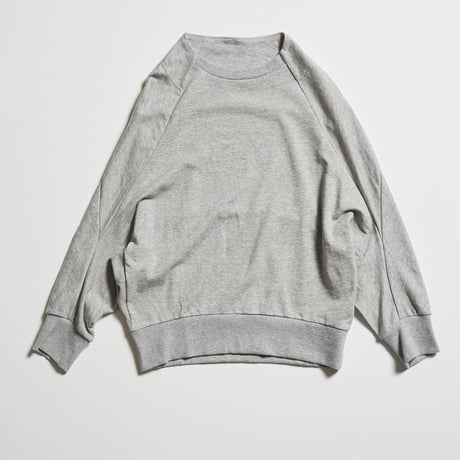DV-017／“B A S I C S” Cotton Fleece Pullover／2COLORS