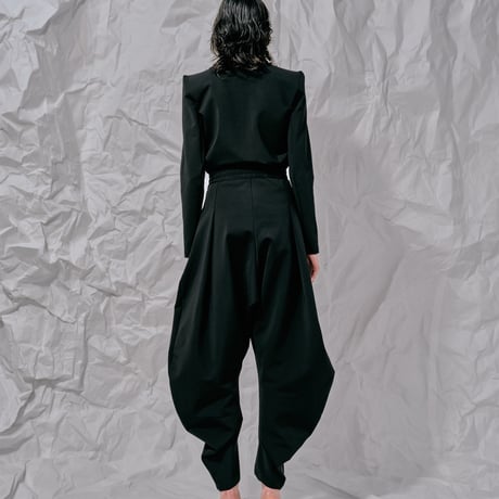 DK28-CS02-P02／Camellia Resilient Ponte Curved Silhouette Pants／2COLORS