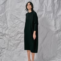 DK28-02-O01／Vi/C Amundsen Twill Washer Dress／2COLORS