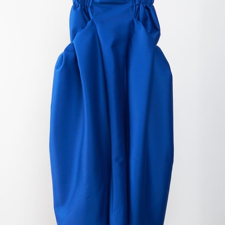 LE-S06／LIMITED EDITION／Silk Wool Twill Long Skirt／2COLORS