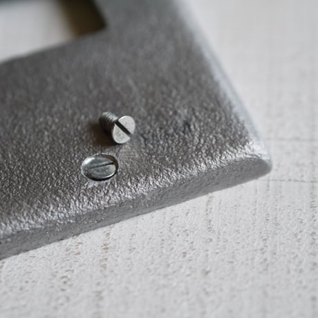 SWITCH COVER
