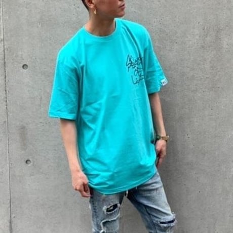 Selection of life TEGAKI Tee Aqua