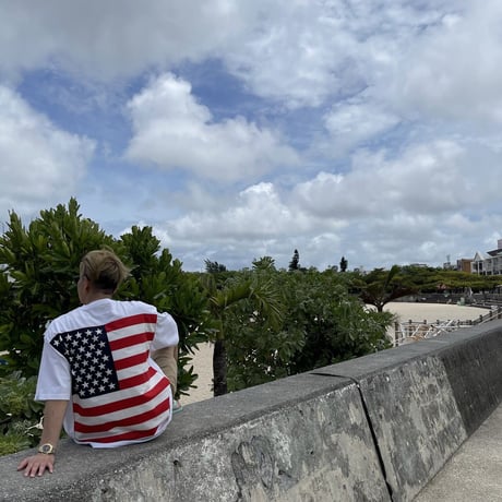 Selection of life. HAV-A-HANK Bandana Tee AMERICAN FLAG