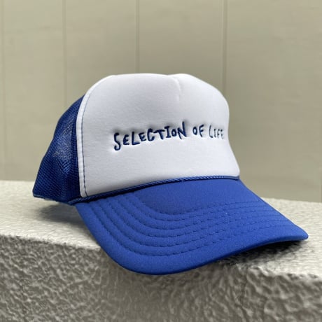 Selection of life. 2nd Brand LOGO Mesh Cap BLUE