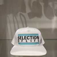 Selection of life. Bold Line LOGO Cap WHITE
