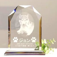クリスタル盾　ホログラム加工