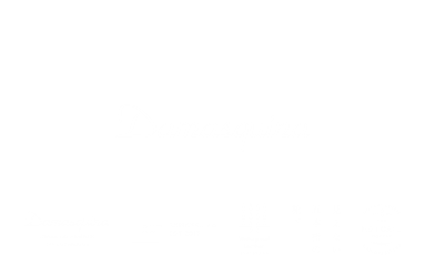 Damasquina  Store