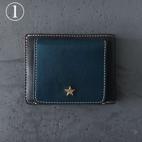 MULTI WALLET  LIMITED  COLOR