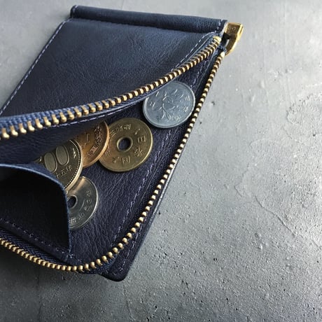 ZIP COIN & MONEY CLIP