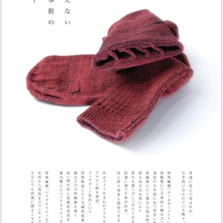 見えない五本指の靴下　ANKLE