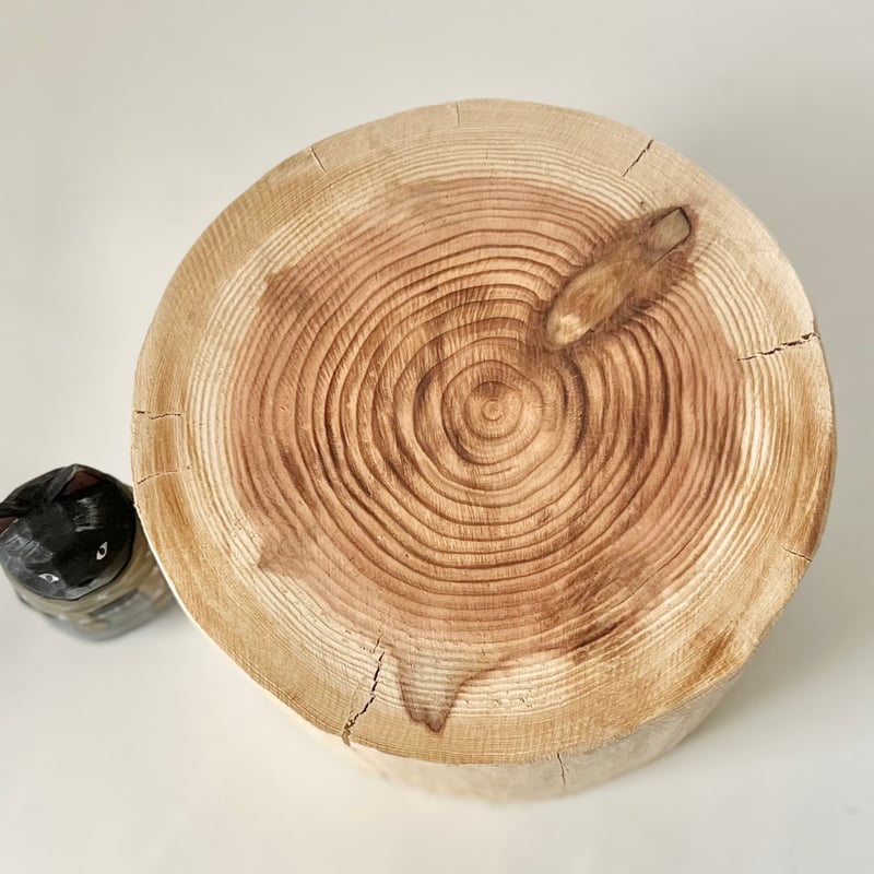杉の丸太【Sサイズ】u 直径20cm×高さ12cm | はちもも雑貨店