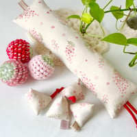*試作室*春色🍓ケリケリとテトラとボール8点セット