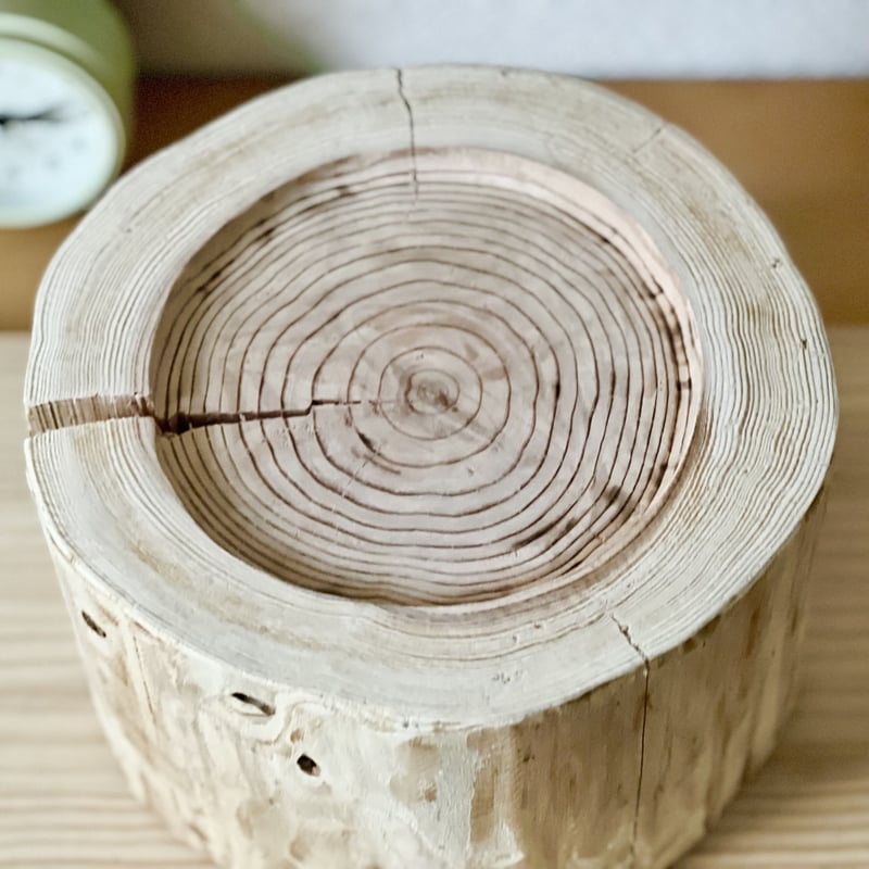杉の丸太【Sサイズ】h 直径20cm×高さ15cm ちょっと穴あき | はちもも雑貨店