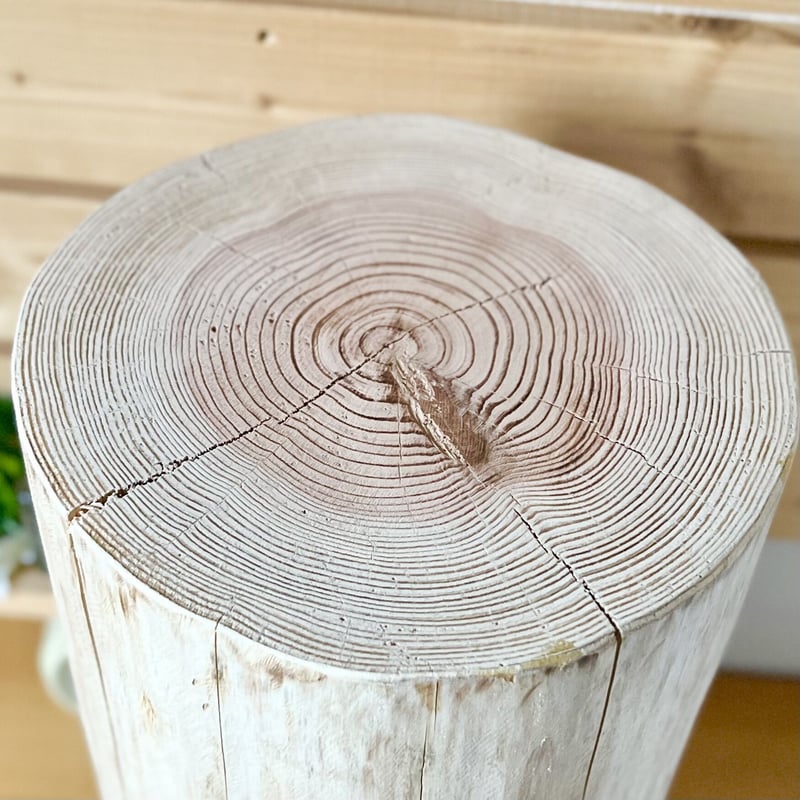 杉の丸太【Lサイズ】R 直径23cm×高さ45cm | はちもも雑貨店