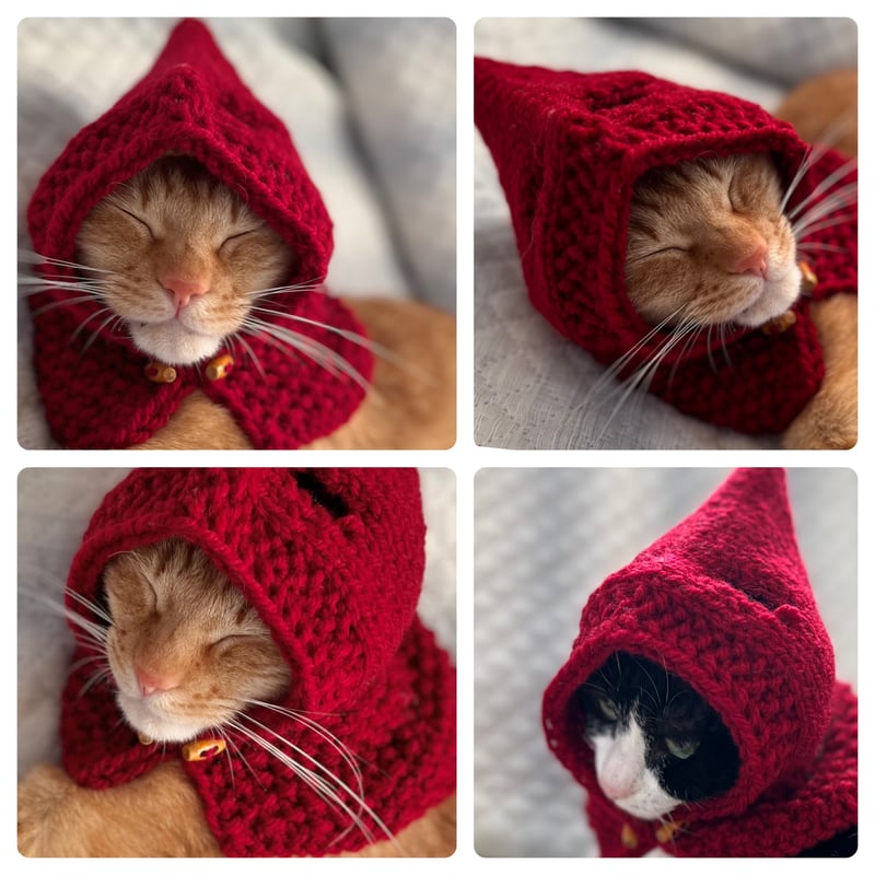 ねこずきん 全8色 | はちもも雑貨店