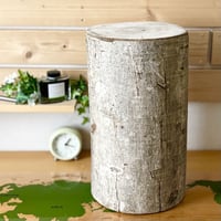 杉の丸太【Lサイズ】N 直径30cm×高さ45cm | はちもも雑貨店